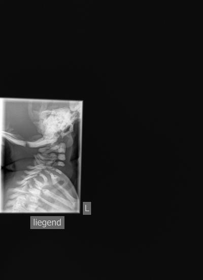 Slide 12
